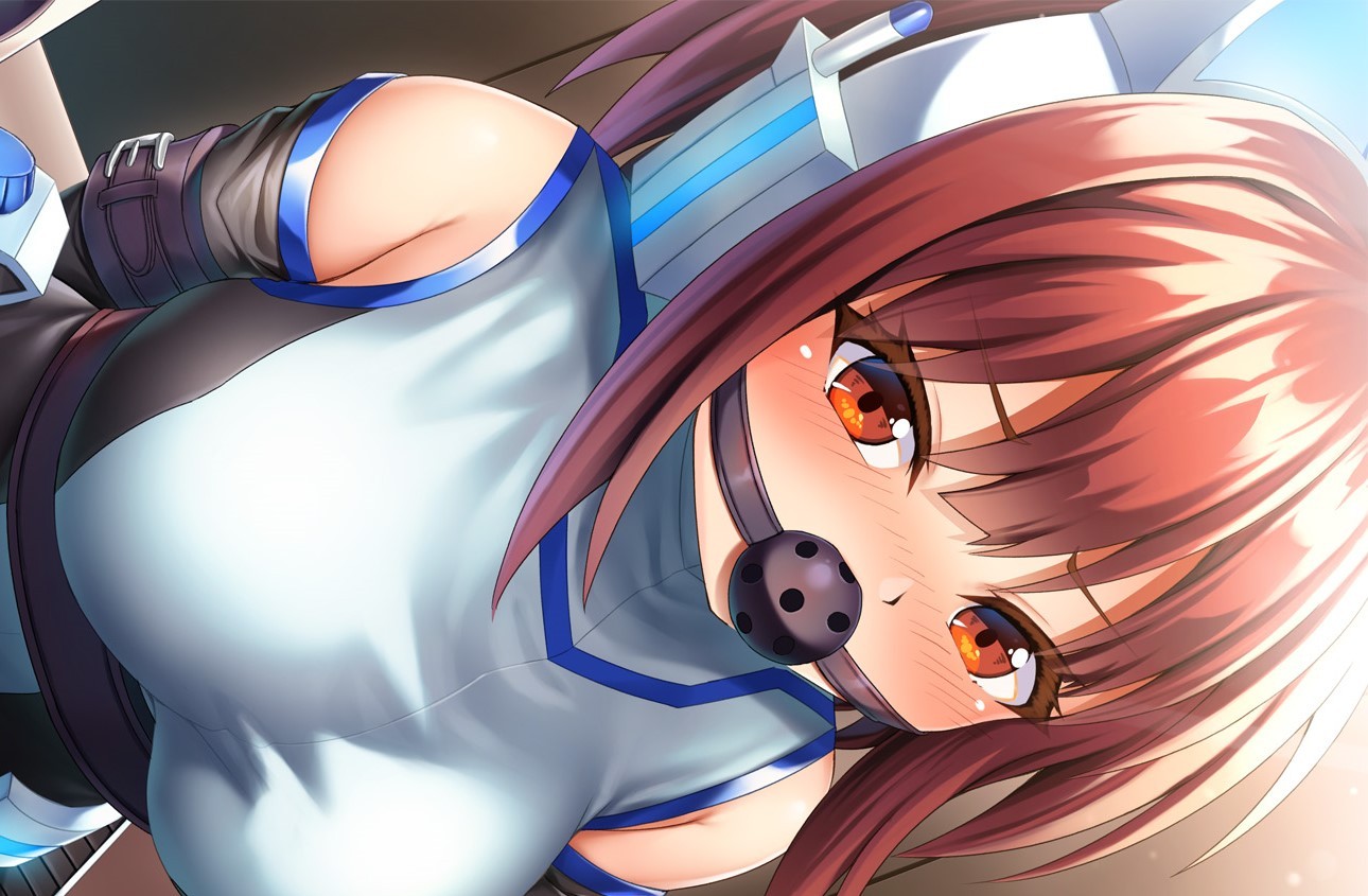 【Japanese RPG/Chinese】Saint Gear Force DL Official Chinese Version【New Release/1.2G】