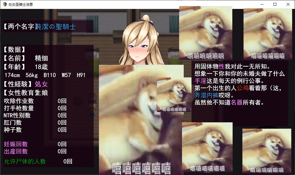 【Japanese RPG/Chinese translated/animated】The Story of Virgin Knight Fina Saving the Kingdom with Her Body! v1.05 Machine Translation Chinese Version【New Release/2.1G】