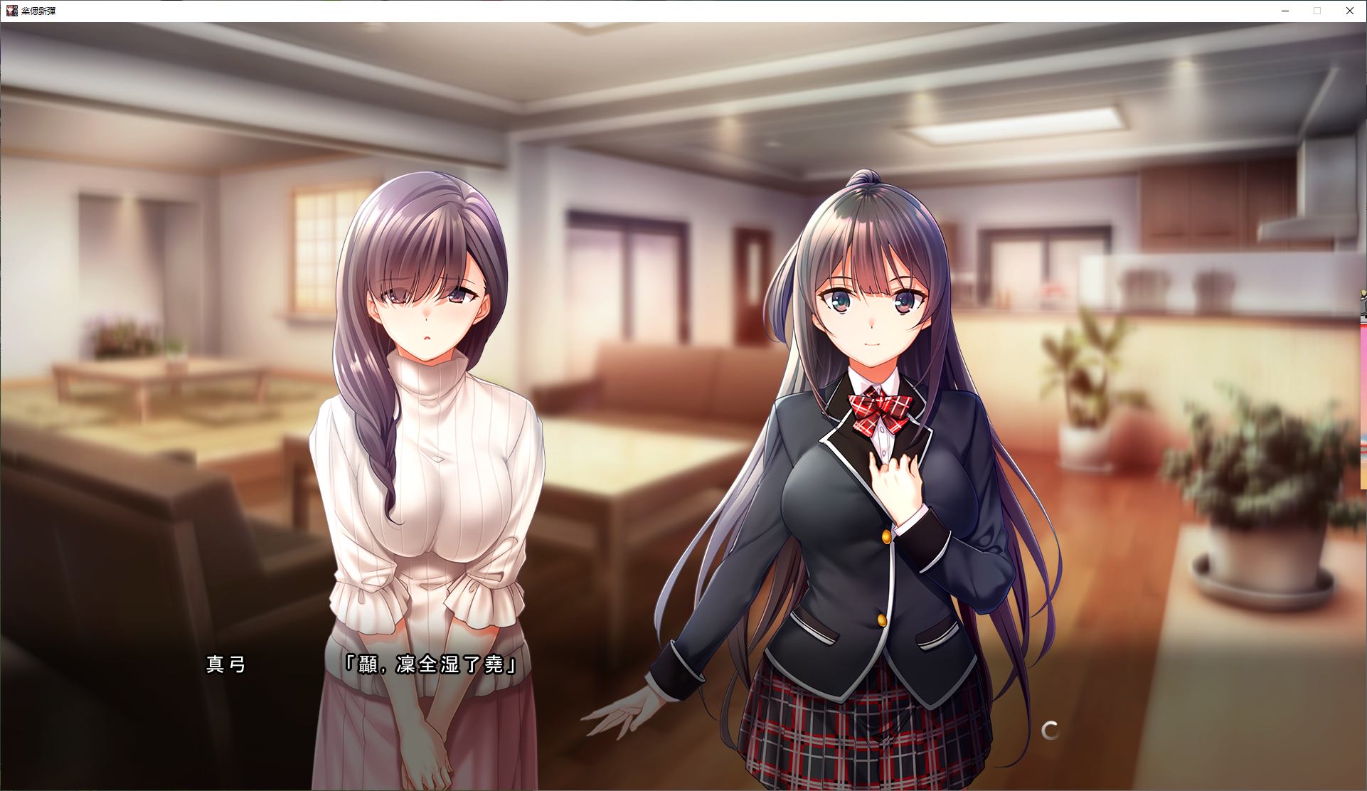 【Japanese ADV/Chinese translated/CV】Sister and Her Own Choices - Machine Translation Chinese Version【New Chinese translation/11G】