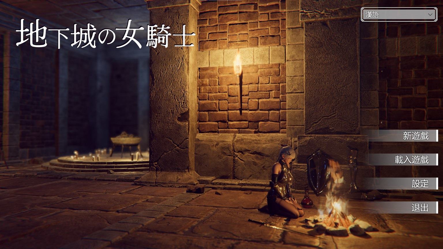 【Japanese ACT/Chinese】 Dungeon Knight Steam Official Chinese Infantry Version 【New Release/3.3G】