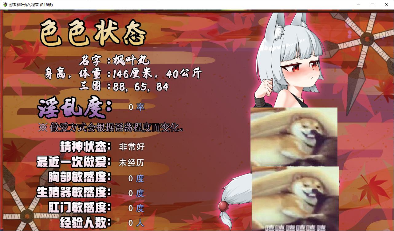 【Japanese ARPG/Chinese】The Secret Chapter of Ninja Maple Leaf - Official Chinese Version for Infantry 【New Release/790M】