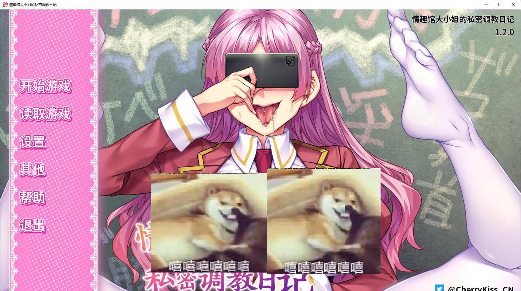 [Spin-off ADV/Chinese/Full Voice] The Private Training Diary of the Lady of the Pleasure House, Mac Edition, Infantry Chinese Version [New Release/4.4GB]