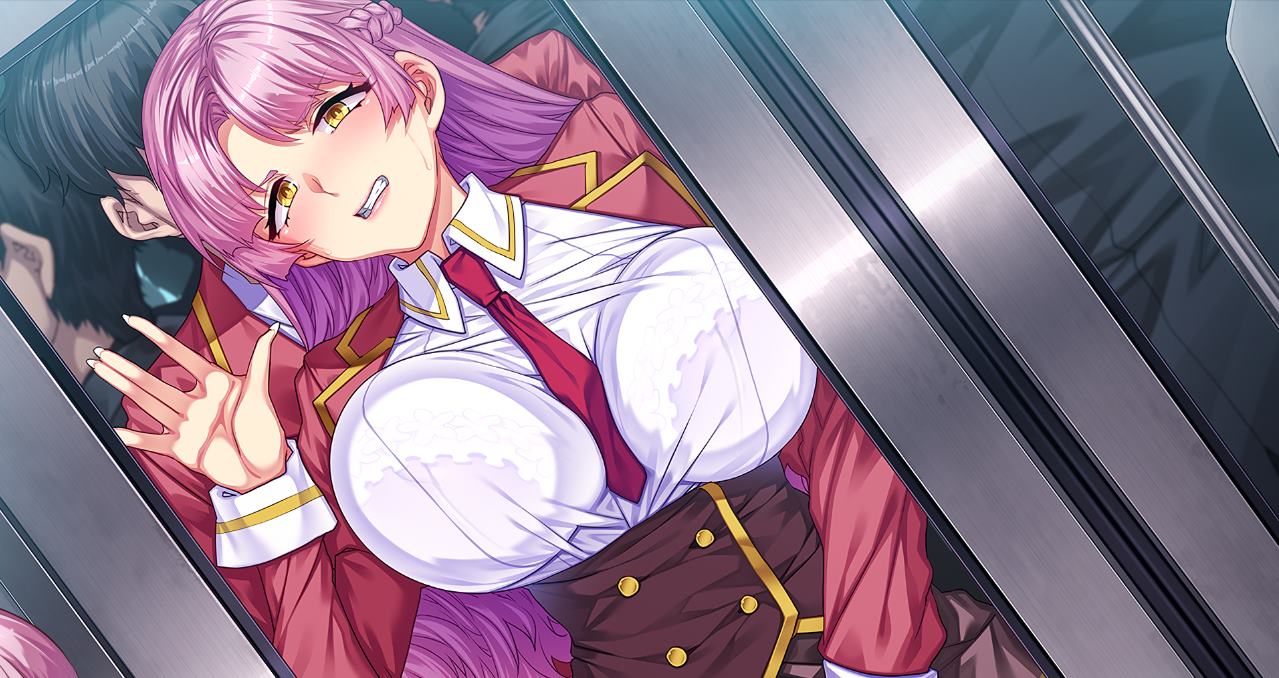 【Pulling ADV/Chinese/CV】The Private Training Diary of the Lady of the Pleasure Parlor with MAC, Bug兵 Chinese Version【New Release/4.4GG】