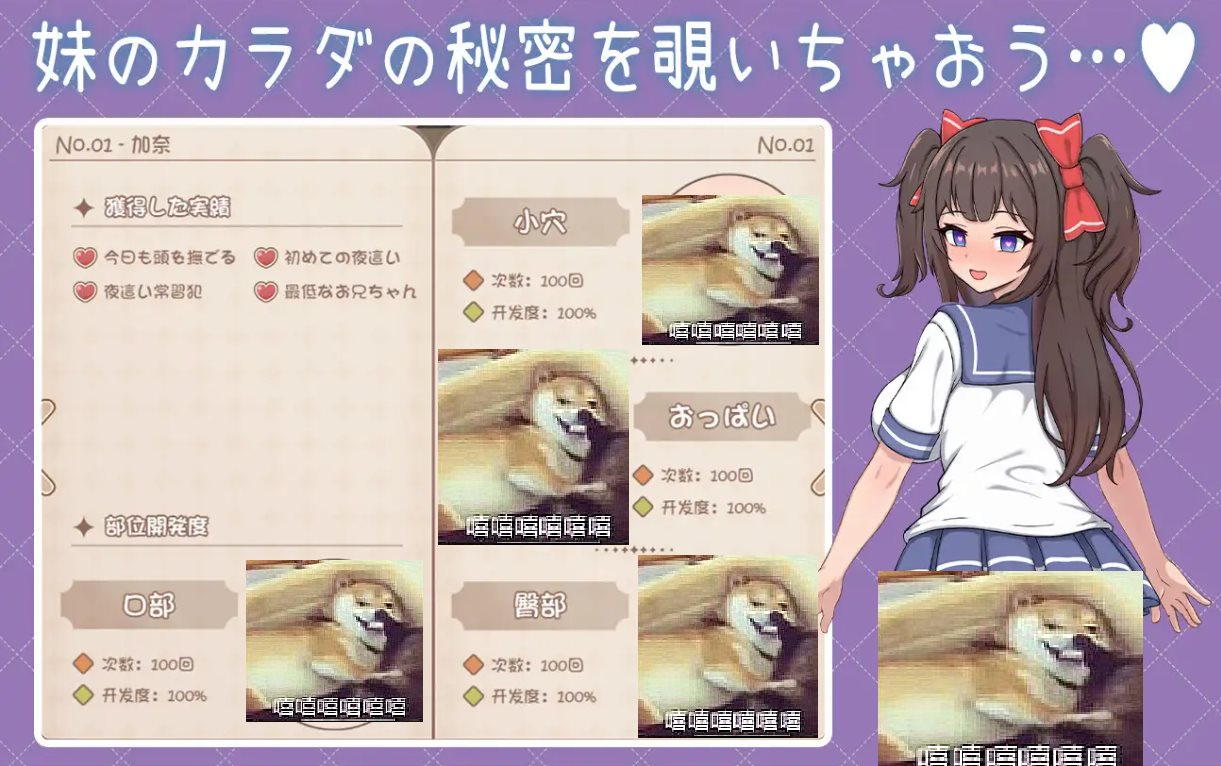 【Dating SLG/Chinese/Animated】Healing Daily Life with My Tsundere Sister DL Chinese Version【New Release/1.1G】